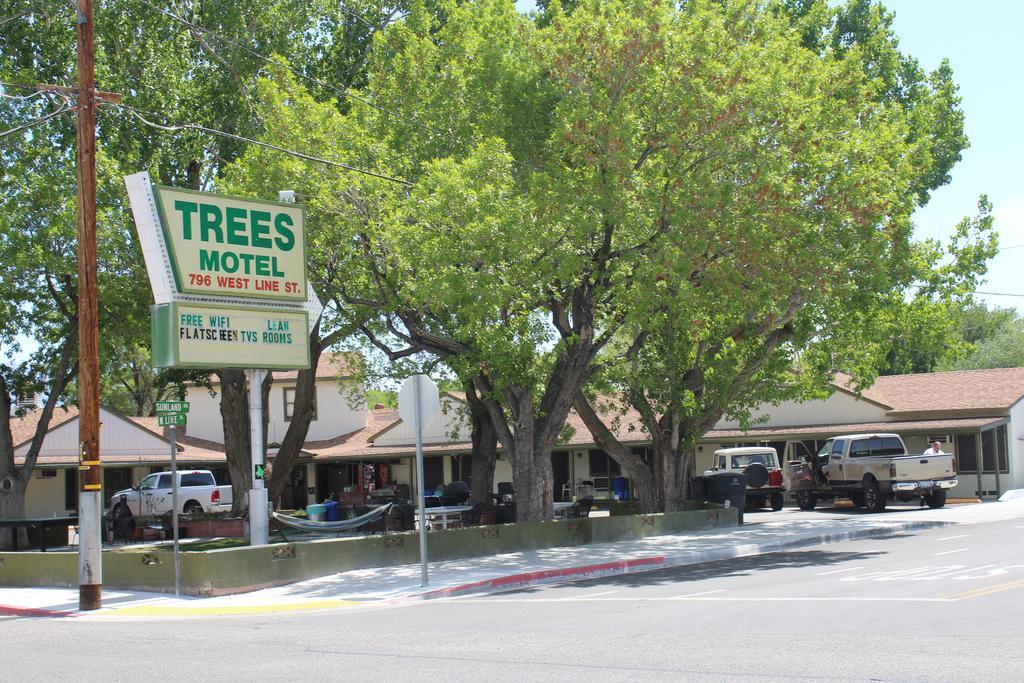 Trees Motel Bishop Exterior photo