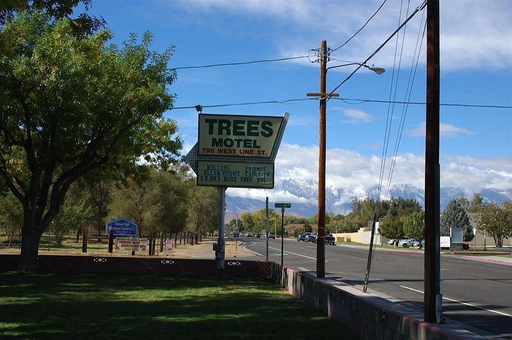 Trees Motel Bishop Exterior photo